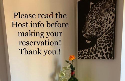 Monte Carlo City Centre Apartment | Suite Apartment in MC Center, 5min walk to Casino & the Port and 1min from underground train station