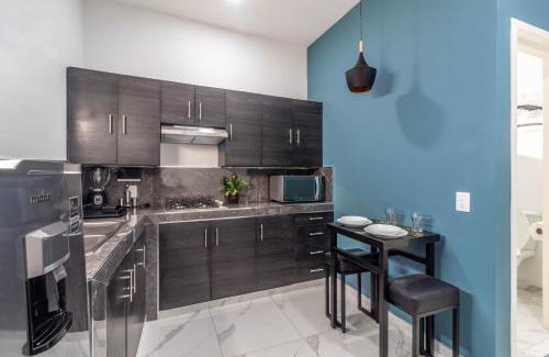 Zapotlanejo Apartment | Suite premium en el centro de Zapotlanejo 305