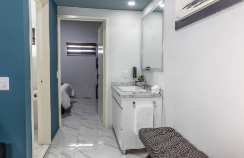 Zapotlanejo Apartment | Suite premium en el centro de Zapotlanejo 305