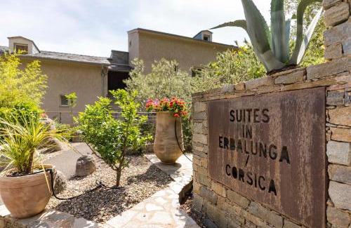 Erbalunga Apartment | Suites in Erbalunga