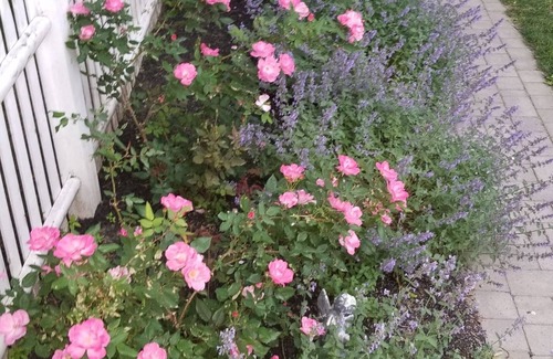 Swampscott House | Summer Fun! (Do not miss the outdoor shower)