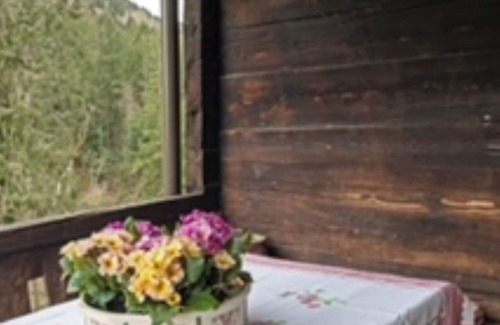 Fresing House | Summer House In The Woods