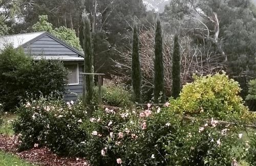 Main Ridge Bed & Breakfast | Summerhill Farm B&B