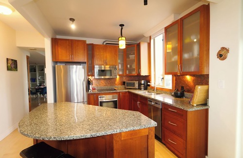 James Bay Condo | Sun Drenched Sub Penthouse Amazing Views - 3 Month Minimum