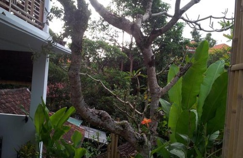 Ubud City-Centre House | Sun House