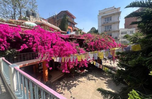 Chhetrapati House | Sun Rise Cottage