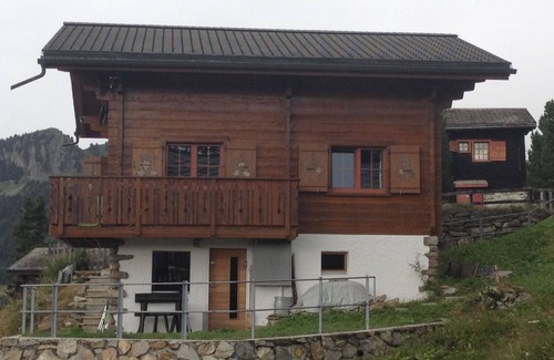 Riederalp Apartment | Sunneschy 1. OG Süd by Interhome