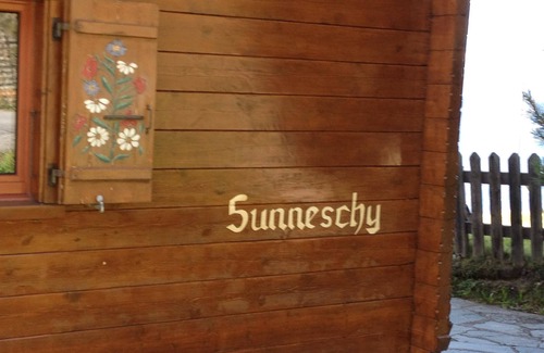 Riederalp Apartment | Sunneschy 1. OG Süd by Interhome