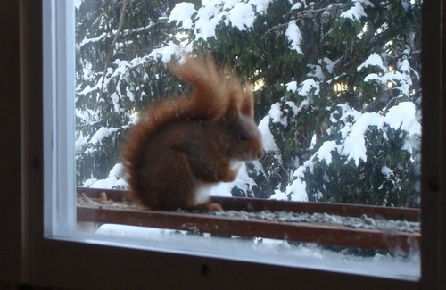 Vilters-Wangs Apartment | Sunny 3 BR FeWhng at 1500 meters above sea level directly at the ski resort.