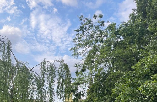 Szentimrevaros Apartment | Sunny and Calm Apartment Central Buda