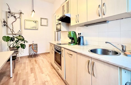 Karlovy Vary Apartment | Sunny City View - Modern livingn