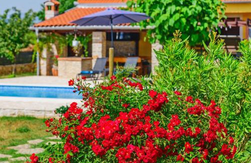 Zemunik Donji House | Sunny house