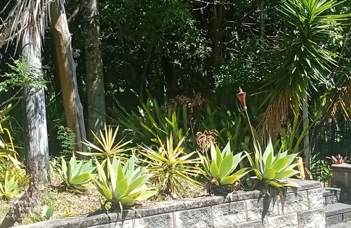 Eumundi House | Sunny lodge 3 bedroom house n