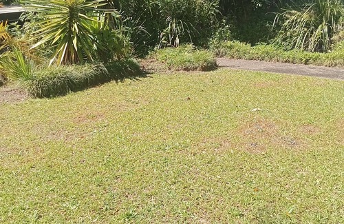 Eumundi House | Sunny lodge 3 bedroom house n