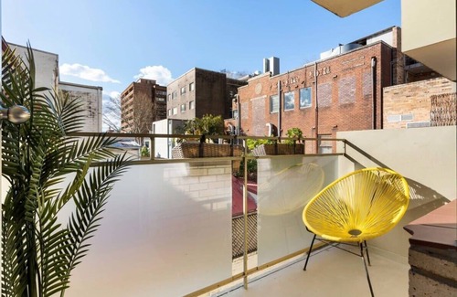 Potts Point Apartment | Sunny Spot Potts Point