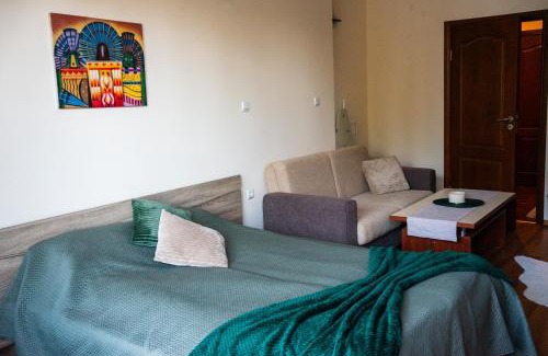 Pamporovo Apartment | Sunny studio in Pamporovo