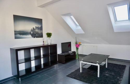 Wallisellen Apartment | Sunrise Terrace 2,5 Room Apartment FR-31