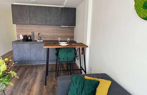 Utrecht Apartment | Sunshine Suite at the Griftpark. 5 Minutes Walk From the City Centre