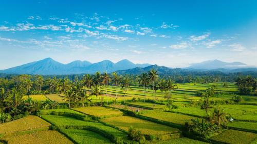 Buahan Hotel | Sunyi Ubud