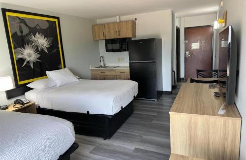 Alexandria Hotel | Super 8 by Wyndham Alexandria LA