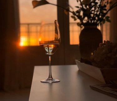 Lido di Camaiore Apartment | Super attico sul mare