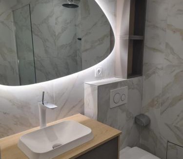 Riquier Apartment | Superbe Appartement Luxueux Spacieux 50 m2 Port Nice