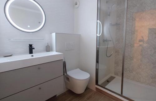 Tonkin Sud Apartment | Superbe Cosy Duplex Appartement T3 Charpenne Tête D'or avec parking privé gratuit