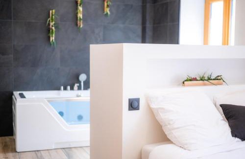 Embrun Apartment | Superbe Loft Balneo Hammam #5
