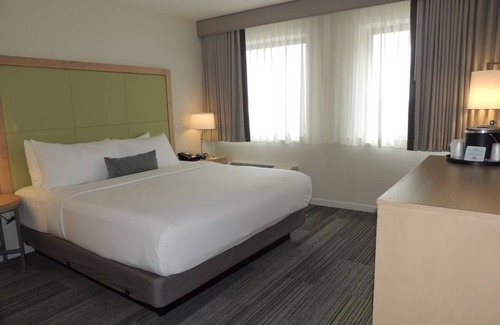 Medical Center Area Hotel | Superior King Room, The Inn at Longwood Medical, Parking, Near Harvard Medical