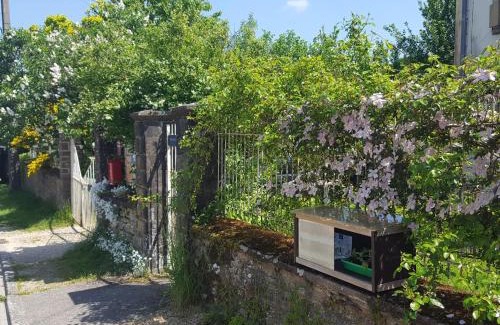 Izel Bed & Breakfast | Susque8