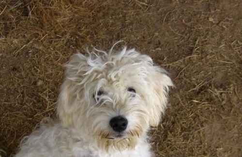 Valverde de la Vera Cottage | Sustainable rural tourism and nature. dog-friendly. AT-CC-00125