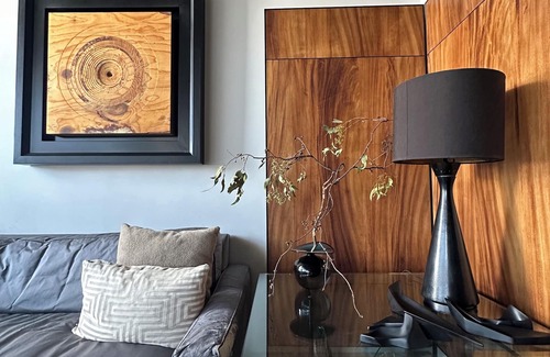 Polanco Apartment | Sustainable luxury 3 level penthouse in Polanco. View from roofgarden.