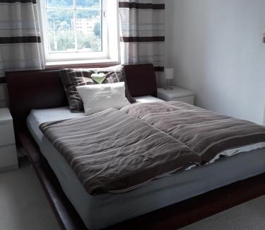 Bad Ischl Apartment | Svarovsky