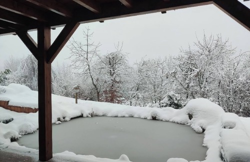 Thollon-les-Memises Apartment | Svea Lodge - Ideal cottage for families