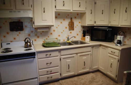 Bigfork House | Swan Lake House - 100 Feet of Waterfront-2bd 2bath