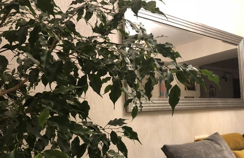 Nippes Apartment | Sweet Apartment in the central location