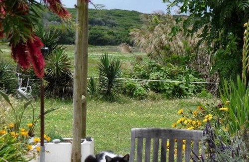 Cavaleiro Cottage | Sweet Cottage on a Horse Farm 200m From the Beach