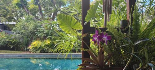 Grande Riviere Noire Apartment | sweet island studio ocean