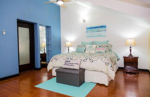 New Kingston Apartment | Sweet Kensville @ New Kingston