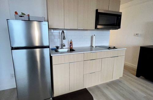 Downtown Baltimore Apartment | Sweet Landing, WiFi, fitness room in Baltimore 1650/Month