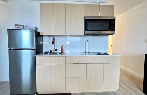 Downtown Baltimore Apartment | Sweet Landing, WiFi, fitness room in Baltimore 1650/Month