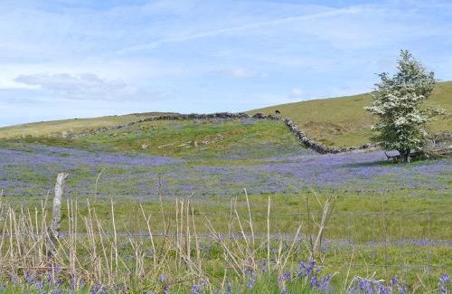 Disserth and Trecoed House | Sweet Meadow Lodge