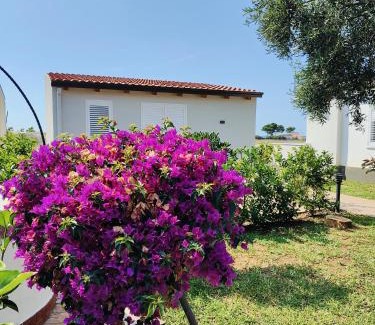Carini House | Sweet Sicily Apartments