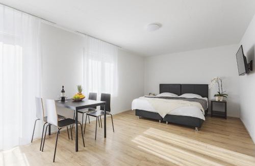 Alt-Wiedikon Apartment | Swiss Star Wiedikon - Self Check-In