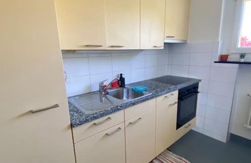 Hunzenschwil Apartment | Swisshol