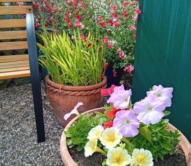 Bucks Cross House | Sylvie's Country Cottage North Devon