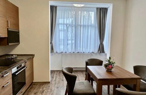 Spindleruv Mlyn Apartment | SYNEK Pension