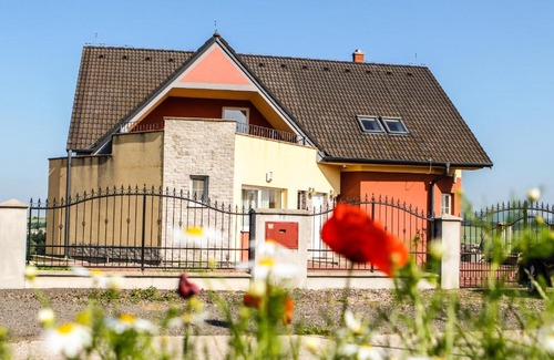 Dudince Bed & Breakfast | Synergy House