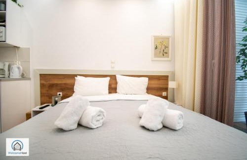 Athens City Centre Apartment | Syntagma Square Athenian apartments