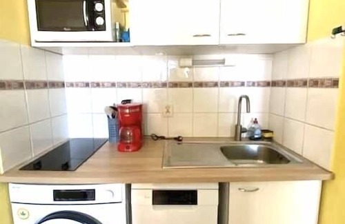 Saintes-Maries-de-la-Mer Apartment | T2 cabin with communal pool, parking, air conditioning for 4 people